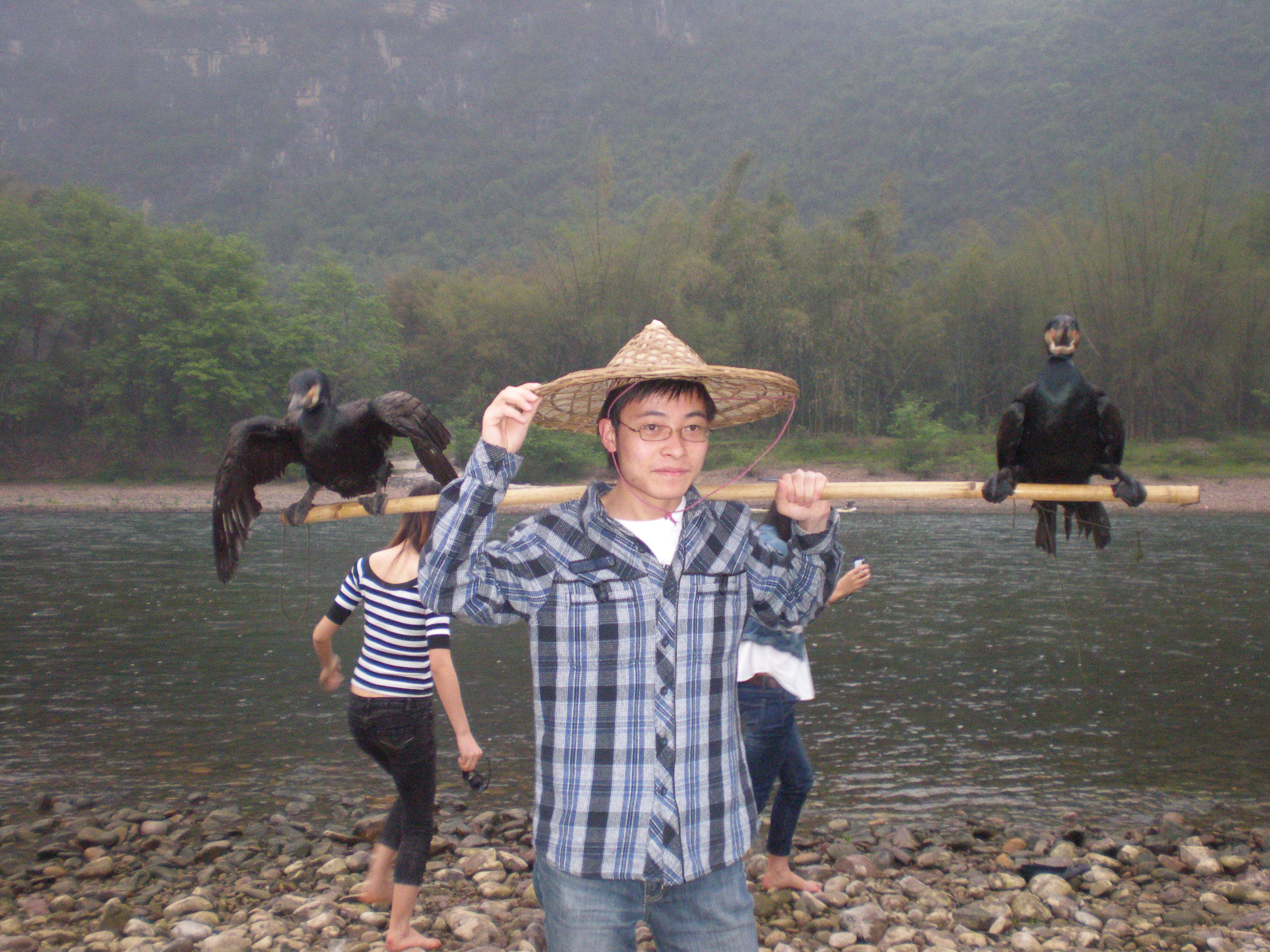 Yang Jingwen